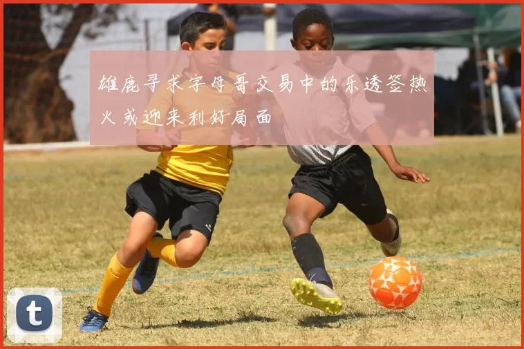 雄鹿寻求字母哥交易中的乐透签热火或迎来利好局面